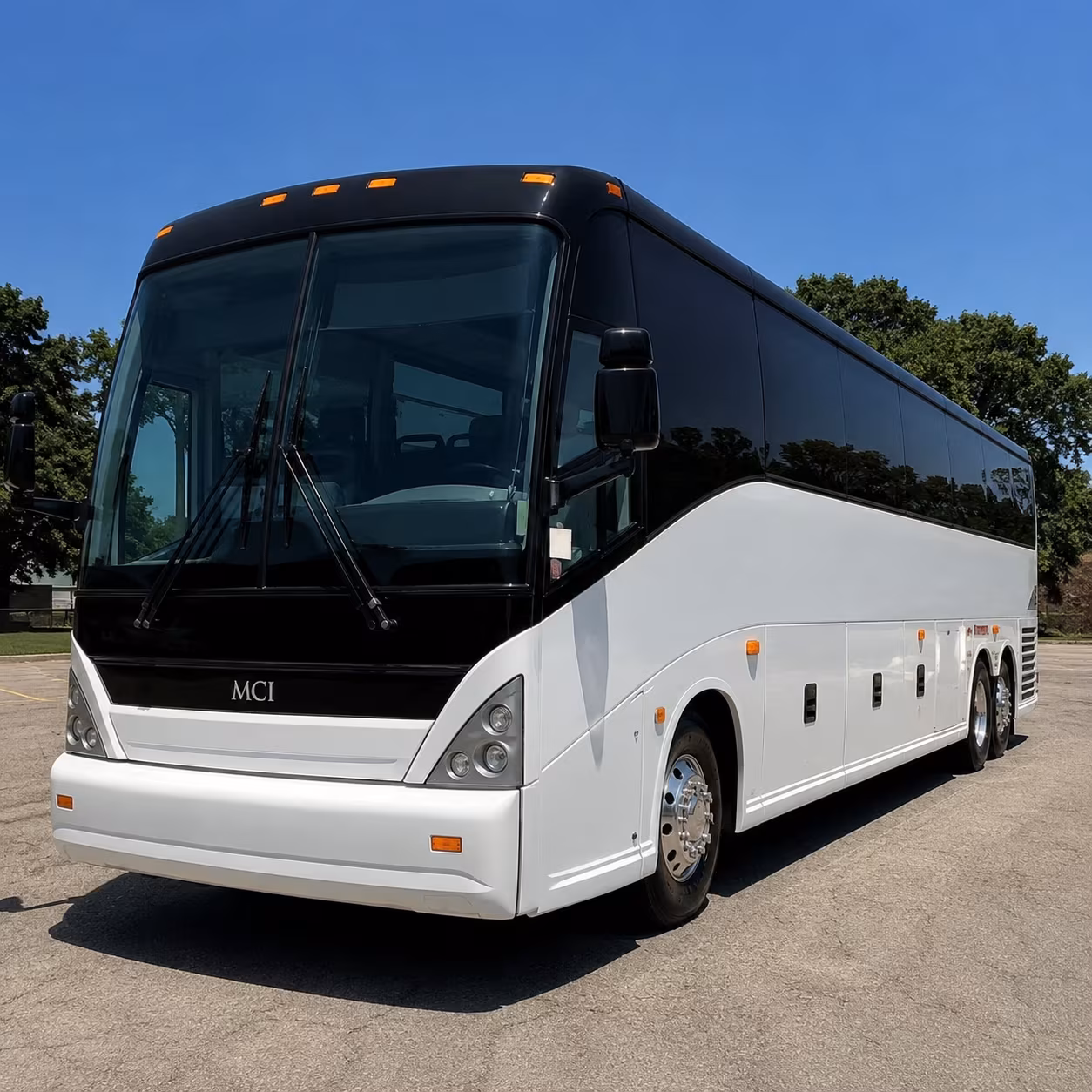 paradise bus rentals