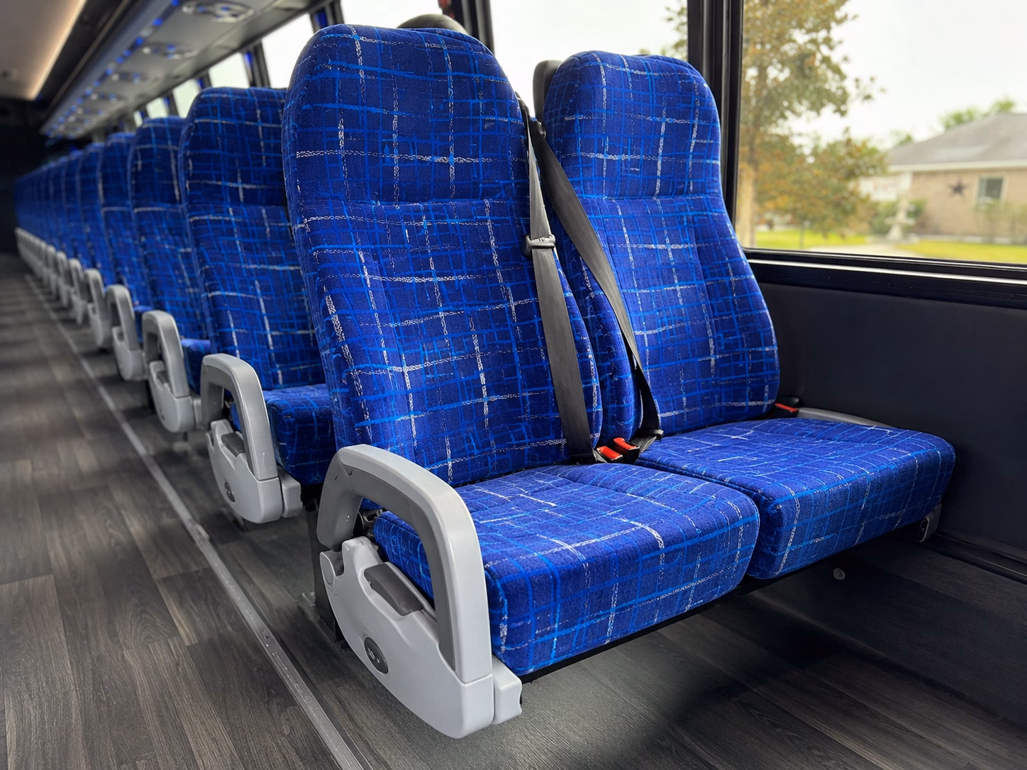 paradise charter bus